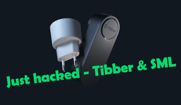 Doing the Undone - Decoding SML or Hacking the Tibber Raw Data